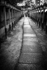 大阪廣田神社。都会の真ん中にひっそりと。鳥居が続く参道が趣がある。