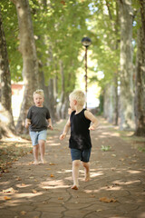 Little boys exploring park together in Coonabarabran, New South Wales Australia