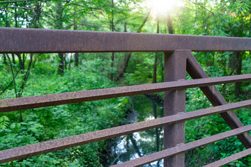 Fototapeta na wymiar fence in the park wood fence forest nature grass park path bench 