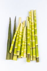 fresh little bamboo shoots isolated