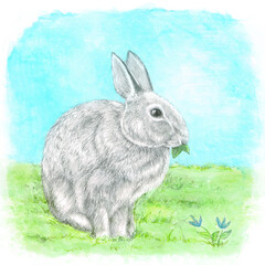 Delicate Watercolor Painting of Small Cute Gray Bunny Rabbit