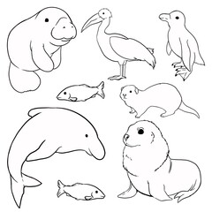 海の生き物01線画