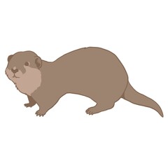カワウソ01