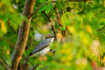 Instant of nature