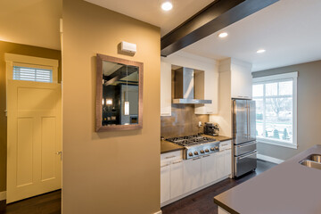 Modern, bright, clean, kitchen interior with stainless steel appliances in a luxury house