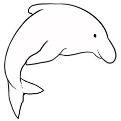 イルカ01線画