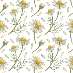 Tuinposter Seamless pattern with flower chamomile. Pencil drawing and watercolor illustration. The print is used for Wallpaper design, fabric, textile, packaging. © Aнна Aнтонова