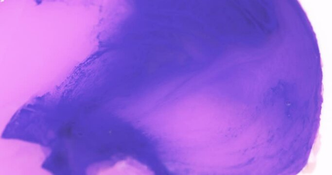 Macro Textures with Vibrant Neon Color Palette. Abstract Background Made with Oil Mixed with Purple and Pink Dye, Ink, and Paint.