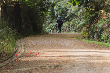 person walking in the garden