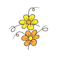 beautiful yellow and orange flowers illustration on white background. closeup flower, nature and freshness. hand drawn vector. doodle art for logo, label, poster, cover, sticker, clipart, banner, card