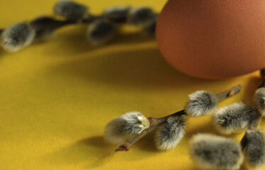 A dark chicken egg with sprigs of a budding willow on a yellow background