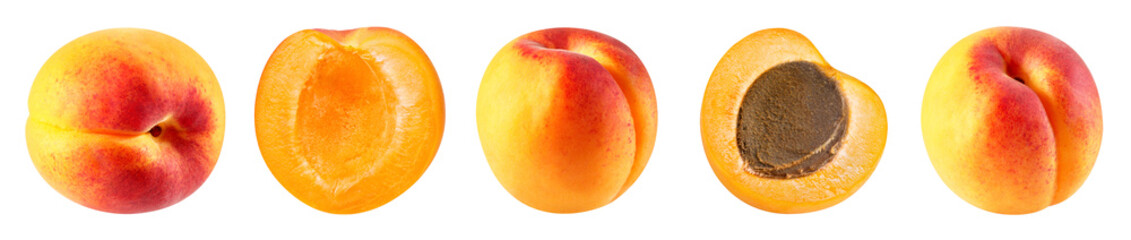 Apricot collection on white background