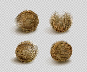 Tumbleweed, dry weed ball isolated on transparent background. Vector realistic set of western desert dead plants, rolling dry bushes, old tumble grass in prairie - obrazy, fototapety, plakaty