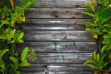 A wooden wall made of lining with bright light green leaves along the contour. Mockup for design with tropical leaves