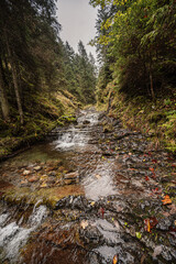 Mountain landscape. Misty forest. Natural river stream. Slovakia, Low Tatras, Demenovska hora and dolina vyvierania. Liptov travel. © Zedspider