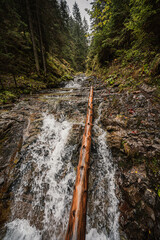 Mountain landscape. Misty forest. Natural river stream. Slovakia, Low Tatras, Demenovska hora and dolina vyvierania. Liptov travel. © Zedspider