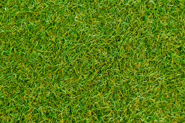Green color Grass texture or background