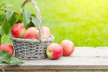 Ripe garden apple fruits in basket