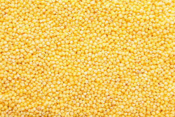Heap of dry yellow millet as background
