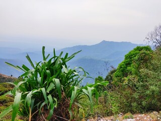 Obraz premium lake in the mountains