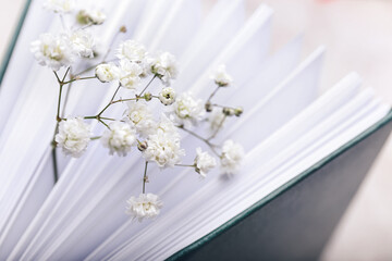 Book with fresh flowers, closeup