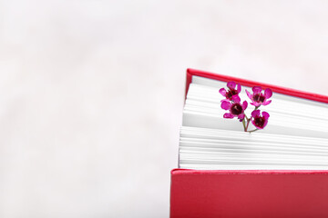 Book with fresh flowers on white background, closeup