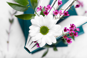 Book with floral decor, closeup