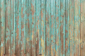 Blue Painted Wooden Peeling Off Fence. Rough Texture Background.