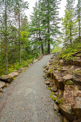 Fragment of Nita Lake Trail in Whistler, Vancouver, Canada.