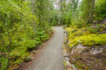 Fragment of Nita Lake Trail in Whistler, Vancouver, Canada.