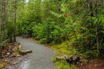 Fototapeta na wymiar Fragment of Nita Lake Trail in Whistler, Vancouver, Canada.