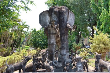 Fototapeta na wymiar elephant on the tree