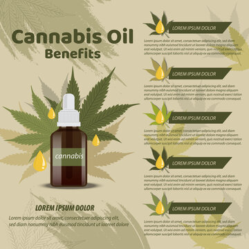 cannabis leaf pattern vector illustration branner brochures leaflef flyer 01