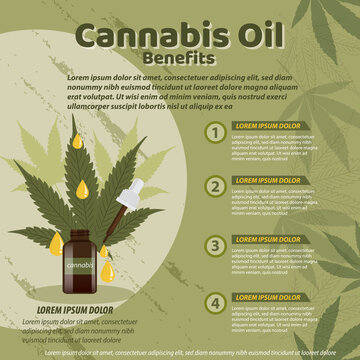 cannabis leaf pattern vector illustration branner brochures leaflef flyer 03