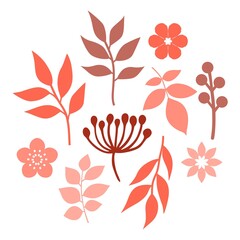 Set with floral elements and leaves. Flowers and branches with leaves and berries.  Decorative elements for design cards, poster, greeting cards. Vector illustration.