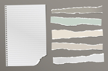 Torn of white and colorful notebook paper pieces are on dark grey background for text, advertising or design. Vector illustration