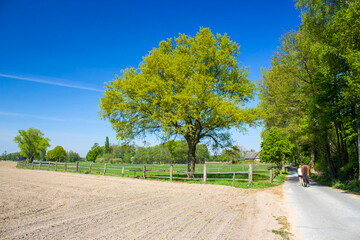 German countryside landscape, Lower Rhine Region