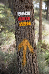 Marking for long and short trails along the traditional paths of forests and mountains in Europe