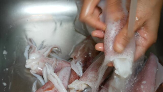 close up cleaning squid with water