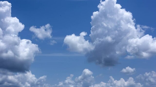 Time lapse of the serene blue sky is adorned with puffy, fluffy white clouds, creating a mesmerizing cumulus cloud cloudscape.