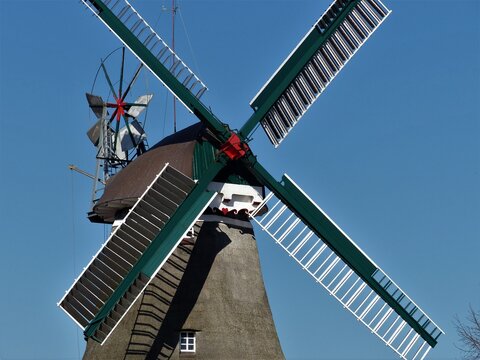 Oberer Teil mit Reet und Fl&uuml;geln der Windm&uuml;hle in Ostgro&szlig;efehn / Ostfriesland