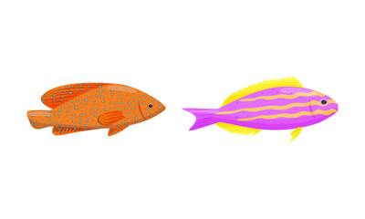Exotic Tropical Fish of Different Shapes and Colors Vector Set