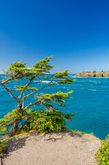 Fragment of ocean view from Cape Trail in Olympics park, Washington, USA