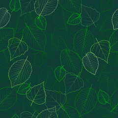 Square seamless pattern with outlines of leaves of elm and birch on a dark green background. Vector pattern for decorating fabrics, wallpapers, backgrounds, packaging, etc.