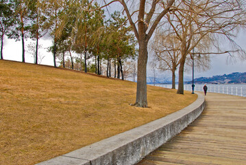 path in the park in Vancouver, Canada