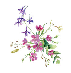 Watercolor wild forest flowers on white background