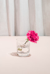 Minimal summer cocktail drink concept with sunlight crystal glass and pink flower on bright beige background. Cream feminine aesthetic. Fashion  party idea.