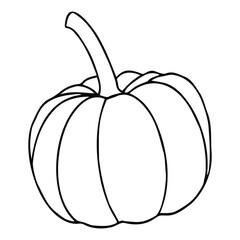 Vector pumpkin in doodle style. The pumpkin is drawn with one line. Big and small pumpkins for Thanksgiving, Harvest and Halloween. You can color the vegetable.