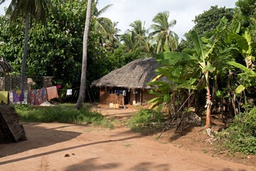View of the dwelling. Chole island. Tanzania. Africa.