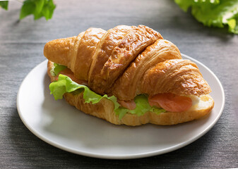 Fresh croissant with herbs, salmon and cream cheese for lunch